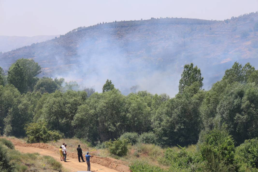 Elazığ'da orman yangını 39